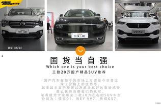 国产精品推荐,匠心独运，品质卓越的国产佳作推荐